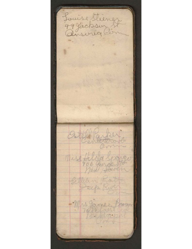 handwritten pages of the diary of charles f. watrous