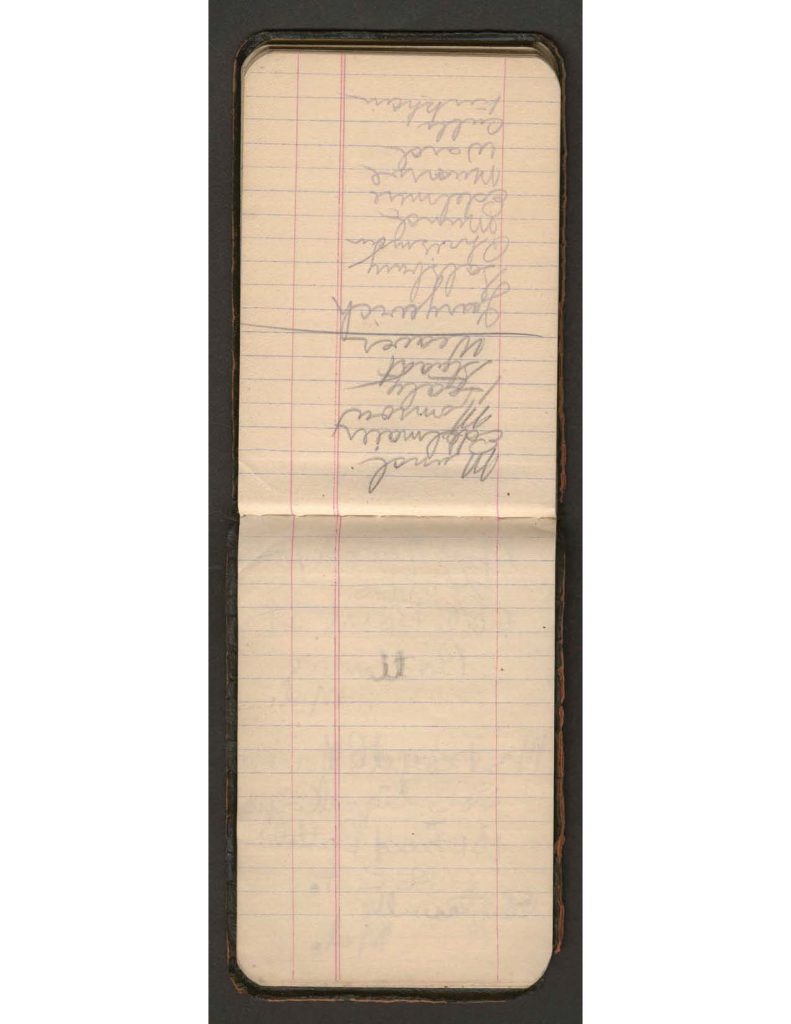 handwritten pages of the diary of charles f. watrous