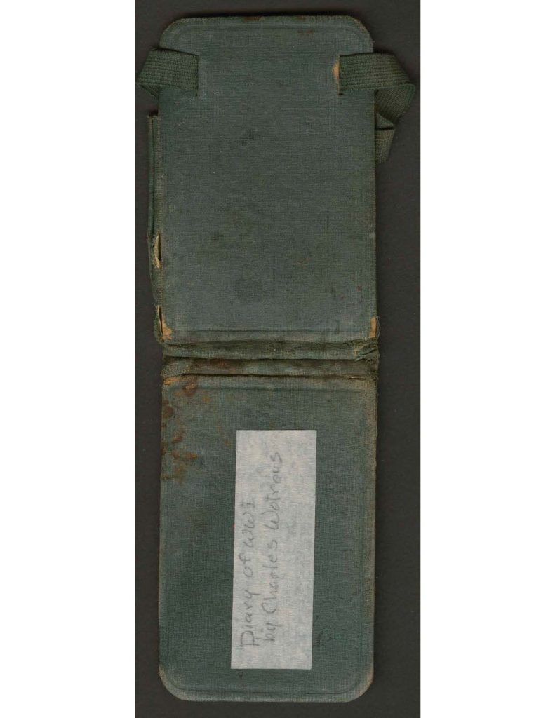 a gray blue cover of the diary of charles f. watrous