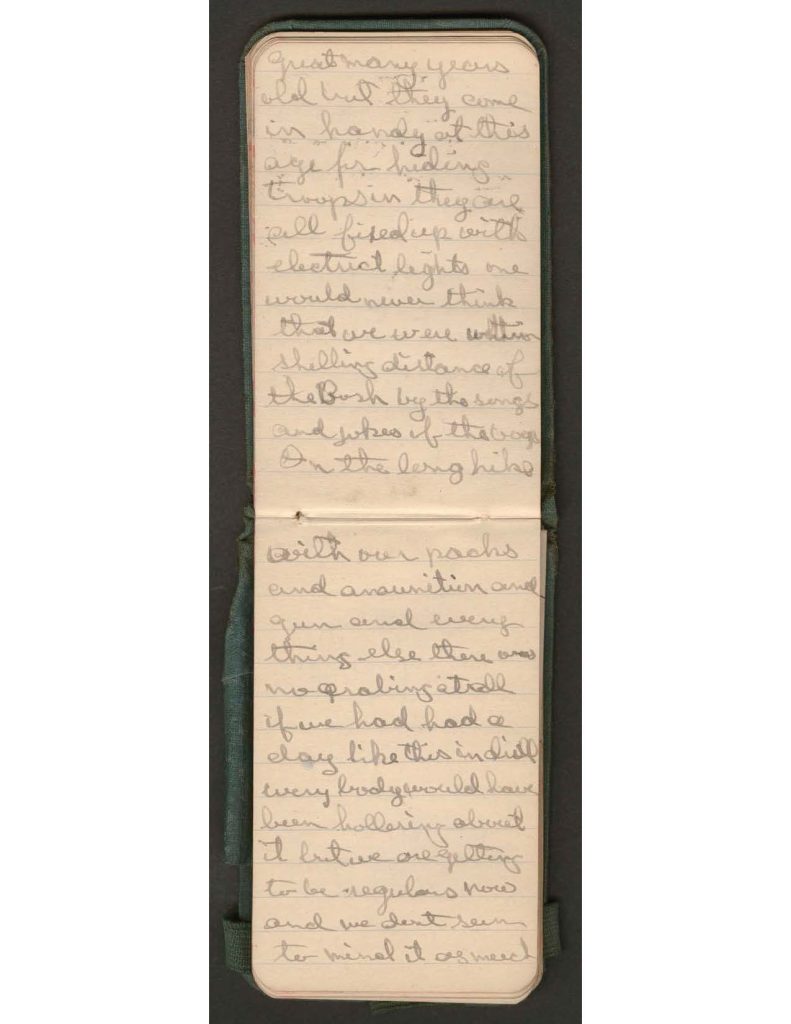 handwritten pages of the diary of charles f. watrous