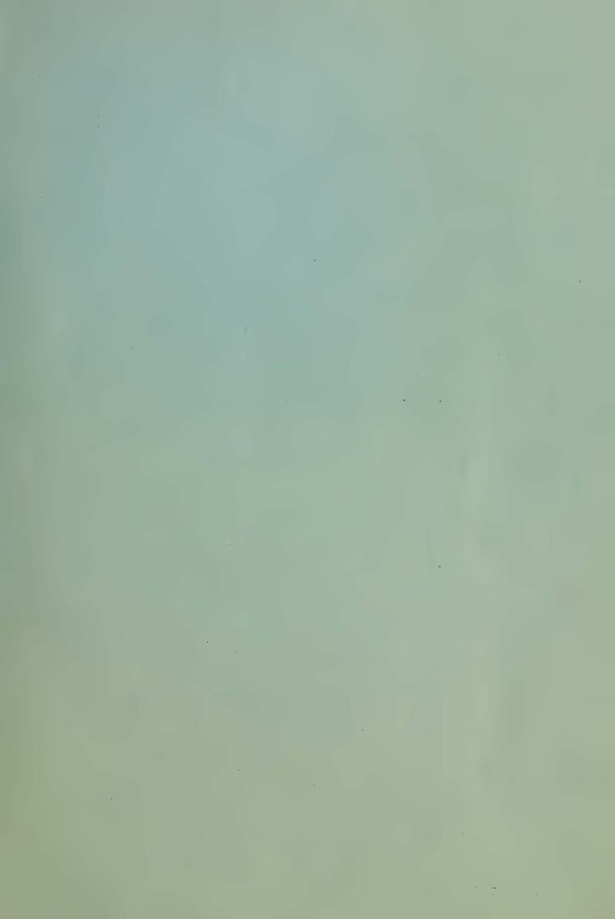 blank page of a pamphlet titled "when connecticut stopped the hun" about the batte of seicheprey from april 20 - 21 1918